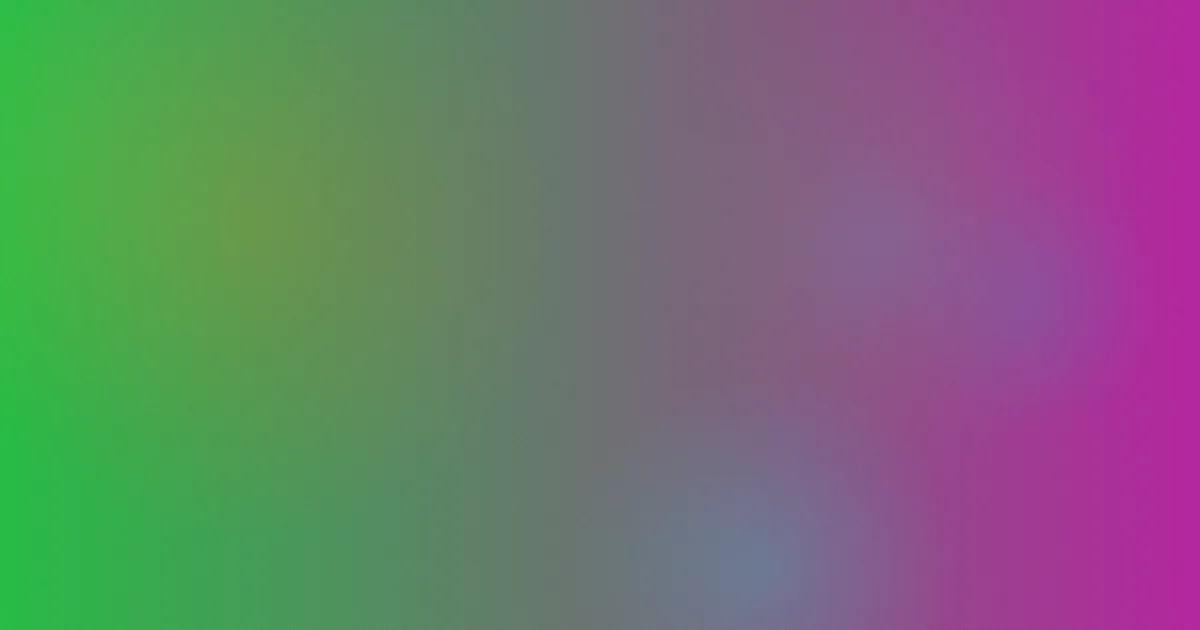 闪亮的日子攻略：和慢综艺比